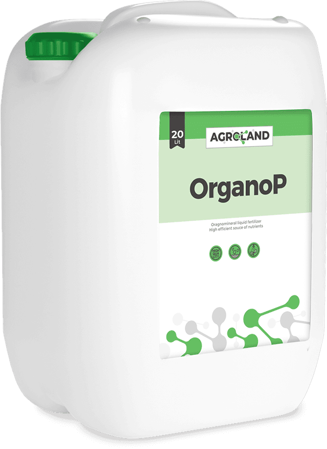 organop-1738145153002-337598964