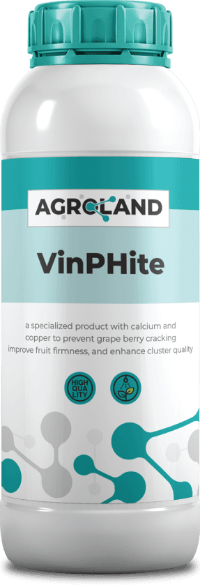 vinphite